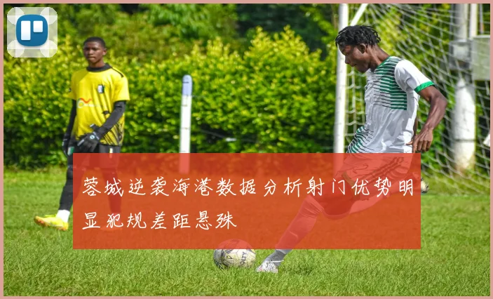 蓉城逆袭海港数据分析射门优势明显犯规差距悬殊
